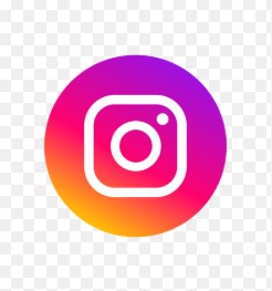 Instagram Icon